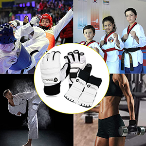 Taekwondo Sparring Gloves