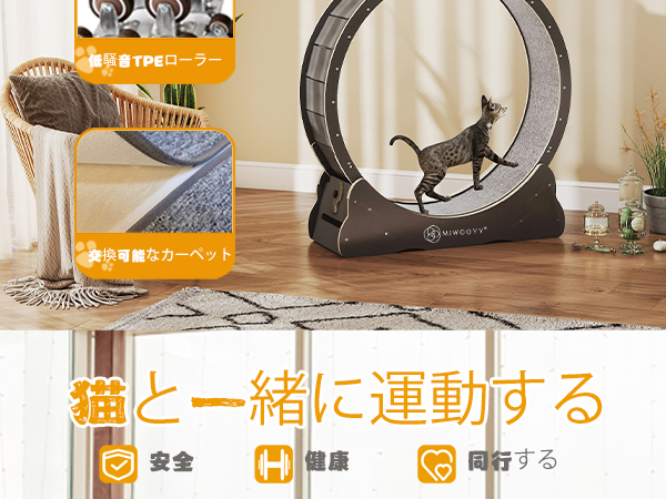 ❗️美品　キャットホイール　猫　大型 Amazon | キャットホイール 猫 キャットホイール 静音 猫 運動
