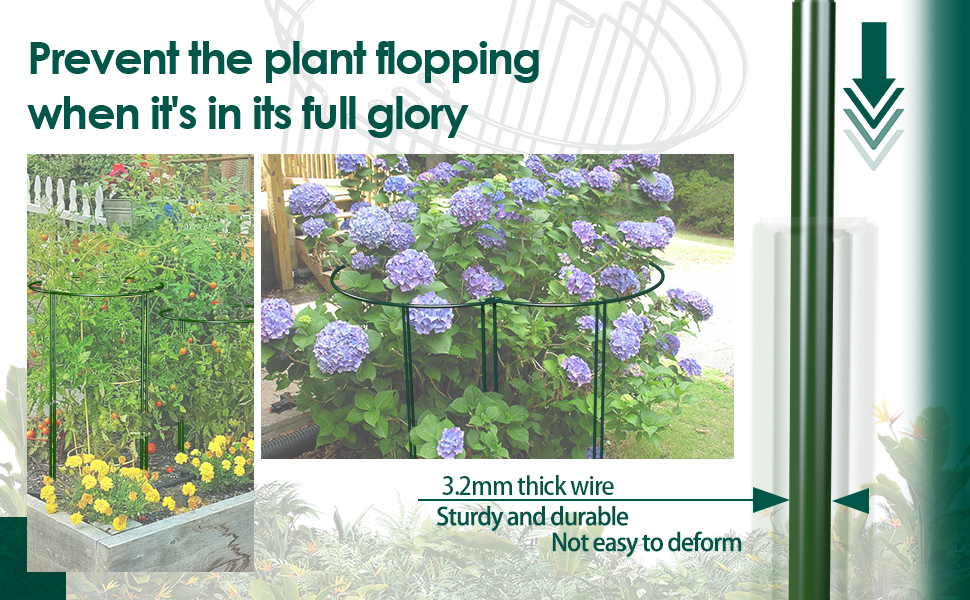 plant stake support