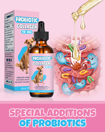 tailey liquid collagen for dogs tally collagen dog collagen dogs tally liquid collagen dogs