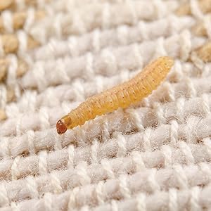 Small manufacture image 8
