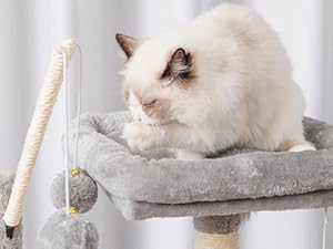 cat tree