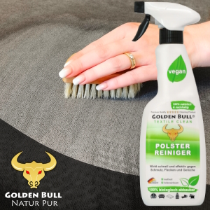 polster sitze im auto innenraum reinigen und pflegen