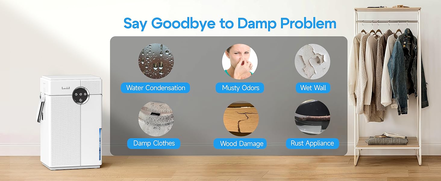 dehumidifiers for home