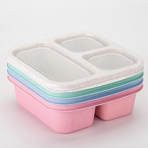 Bento Snack Box