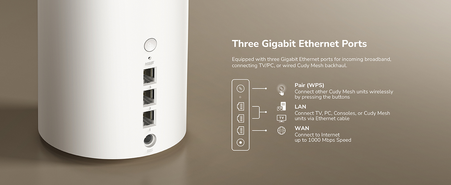 Three Gigabit Ports