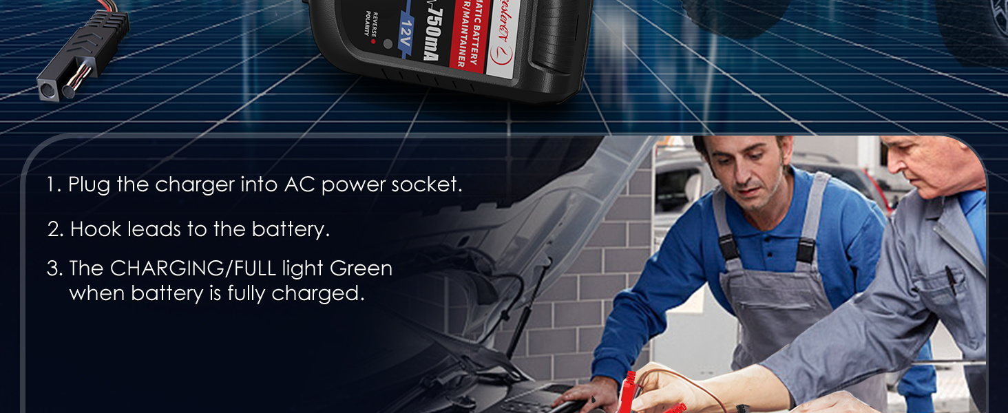 trickle charger for car battery 12v