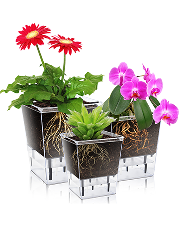 Modern Planters