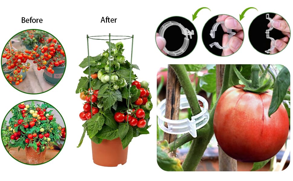 tomato cages for garden