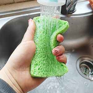 Natural Kitchen Sponge