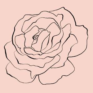 Clear Skin Kit Exfoliates dead skin dark spots Detoxifies your skin Antioxidants Acne Breakouts