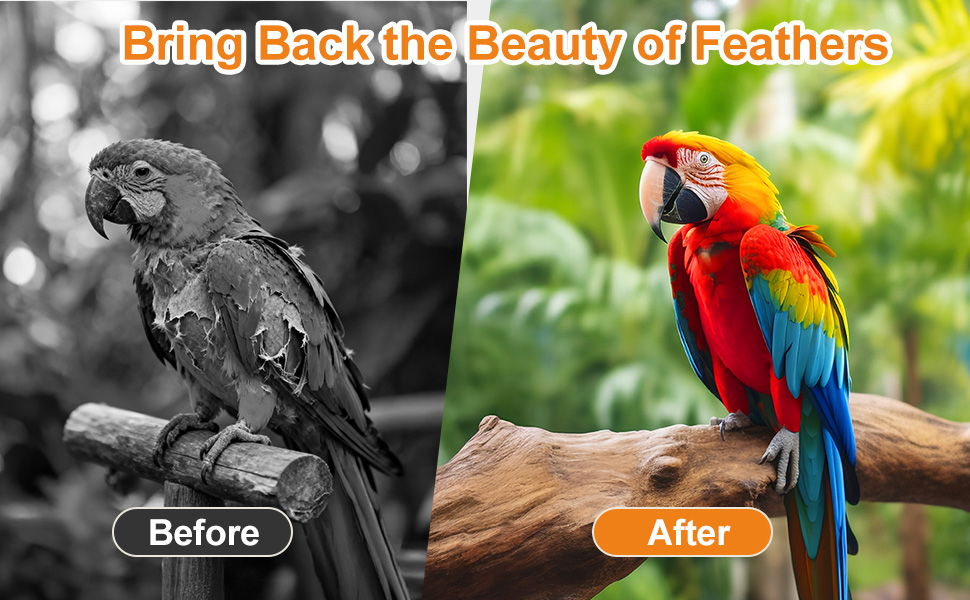 parrot feather growth powder