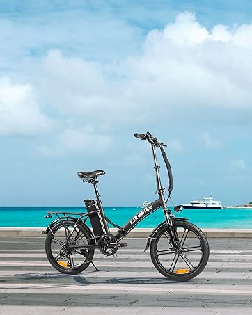 Electric Bike for Adults