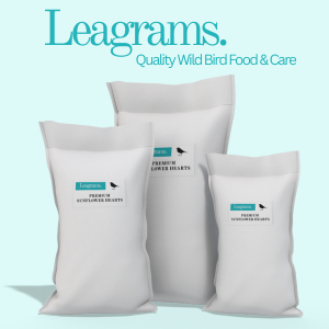 Small manufacture image 8