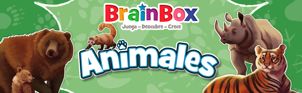 Brainbox, juego de mesa, juego educativo, Asmodee, juegos para niños, juego familiar