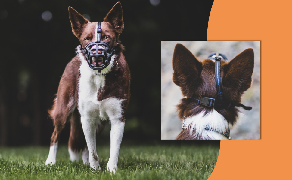 Dog Muzzle, Basket Muzzle for Biting, Chewing and Scavenging, Humane