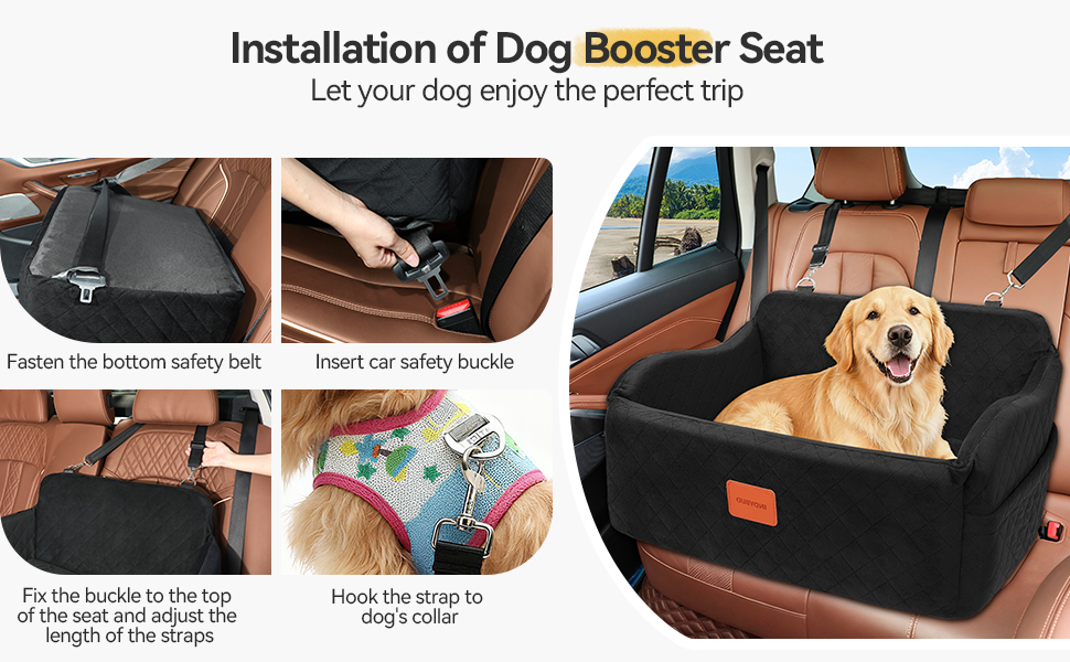 large Dog Booster Car seat