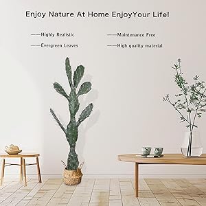 Nala ナラ　Cactus all in one 715EtQsheUL._UF350,350_QL80_.jpg