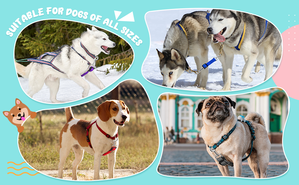 8 Pieces Dog Collar Clip Prong Collar Safety Clip