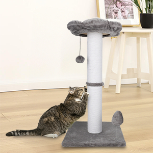 scratching posts for indoor cats adults