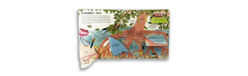 marine life; aquatic; wildlife; fish; ocean; interactive; lift the flap; beach; environment