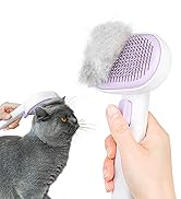 cat brush