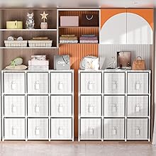 Closet Organizers and Storage