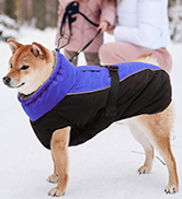 dog coat
