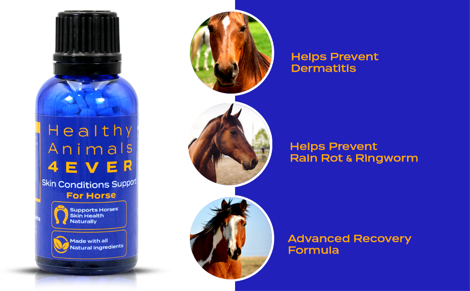skin conditions support for horses skin health naturally made with all natural ingredients