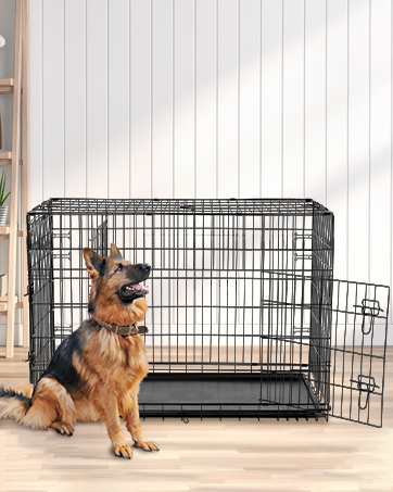 Dog Crate