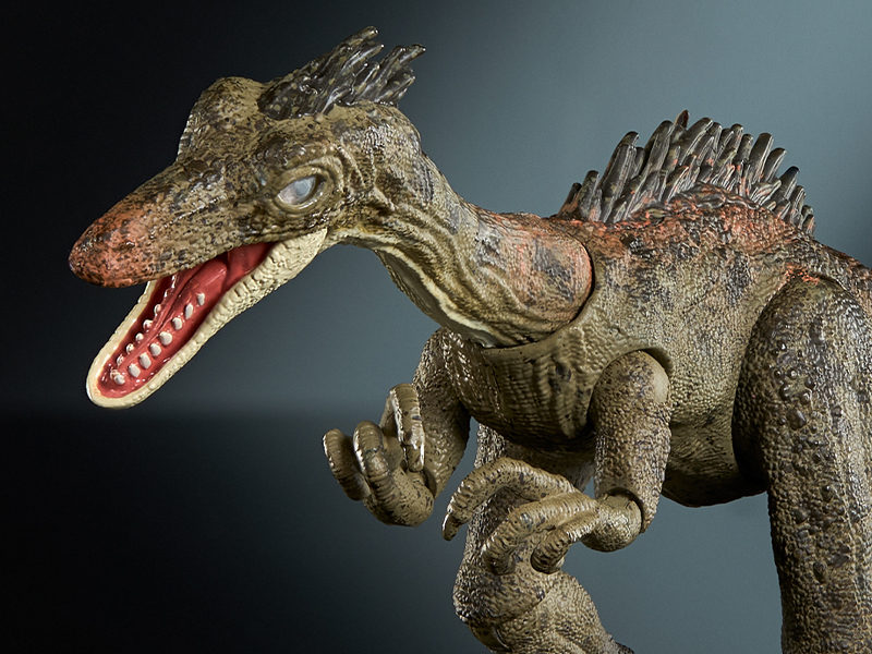 Large manufacture image 4