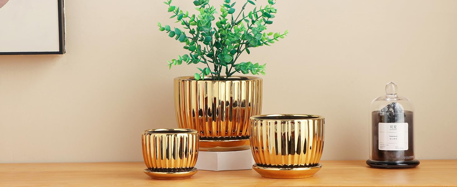 Gold Plant Pots
