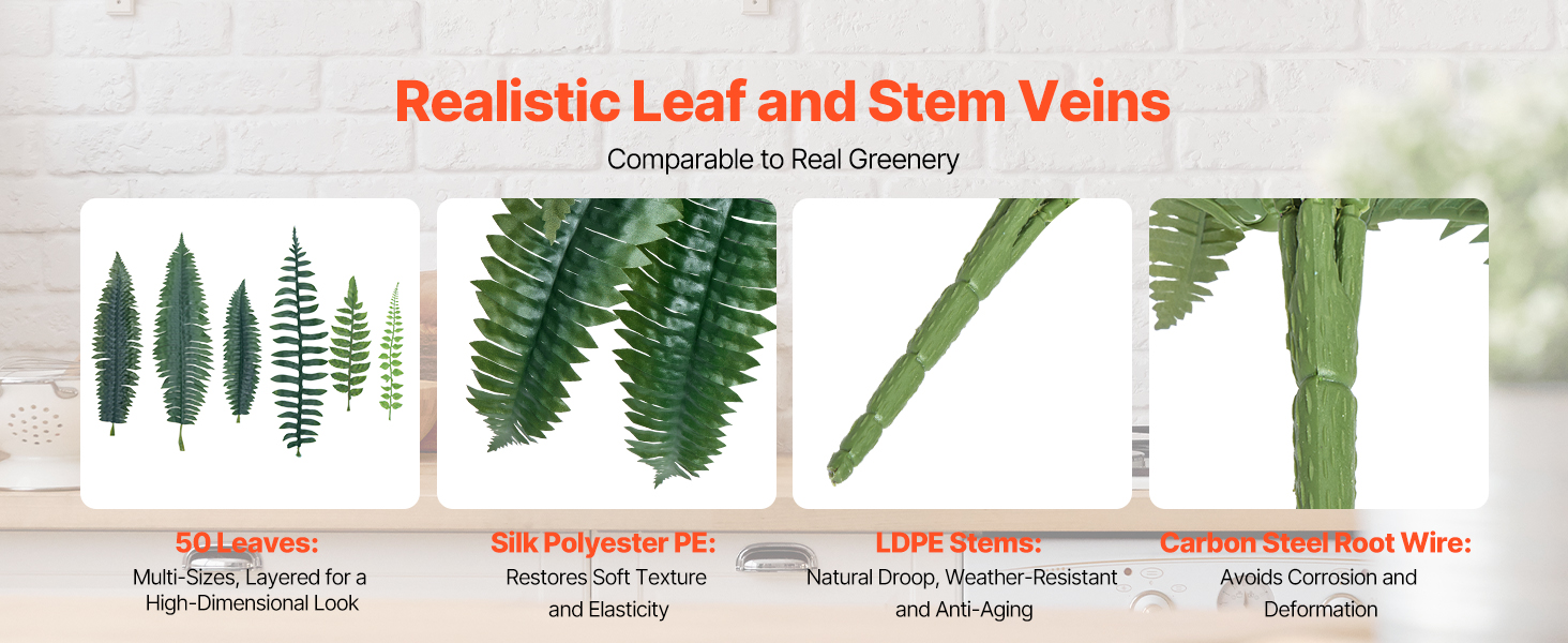 fake ferns