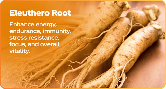 ginseng eleuthero for relaxation and focus