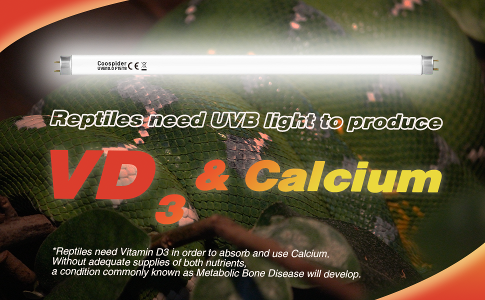 2 Pack Terrarium Reptile Light Bulb UVB10.0 15W Vivarium UVA UVB Fluorescent Desert Lamp Tube