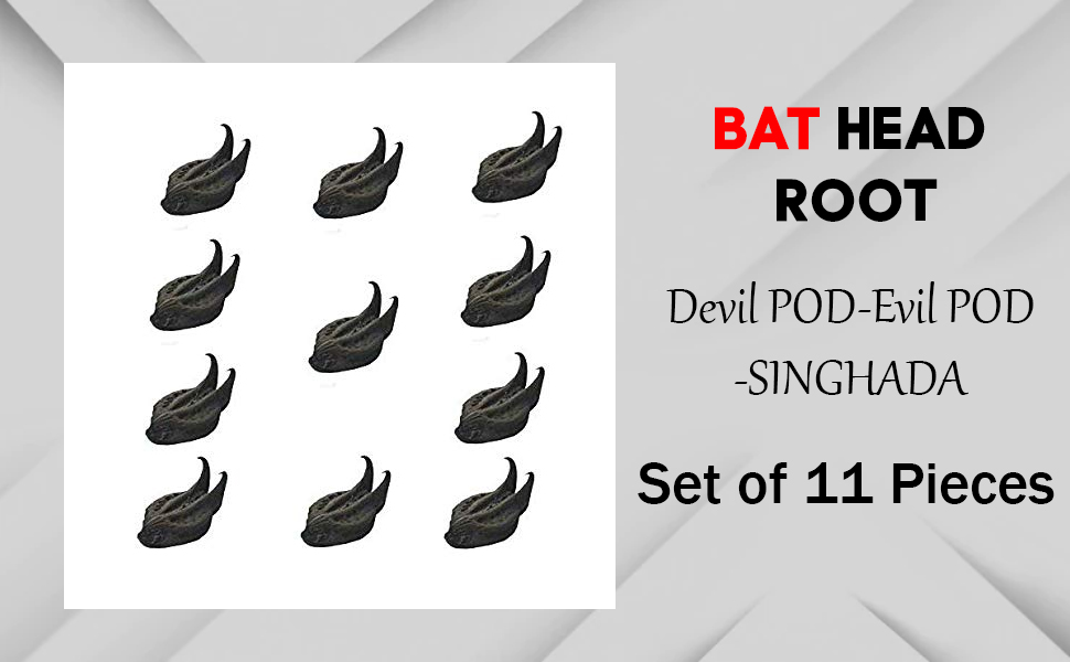 BAT Head RootDevil PODEvil PODSINGHADA Set of 11 Pieces Amazon.in