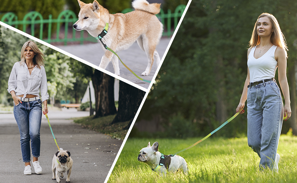 Dog Collar and Lead Set (1.5m), MYPETAGS Puppy Collar and Lead Sets, Durable Collar Leash