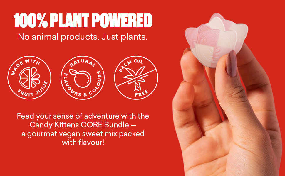 Large manufacture image 3