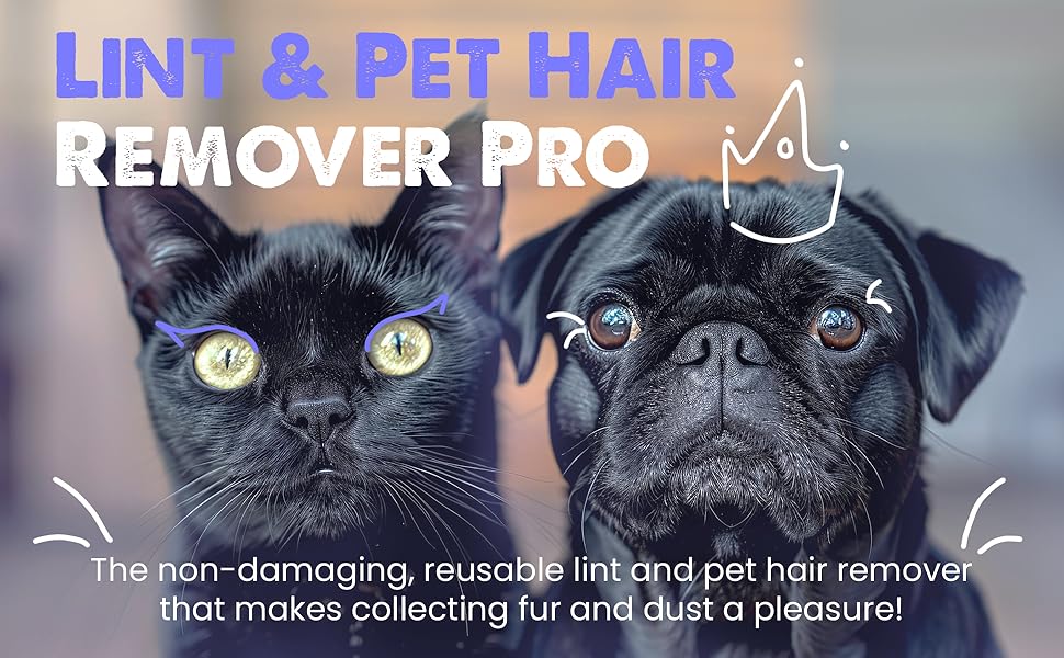 Lowest Price Pro