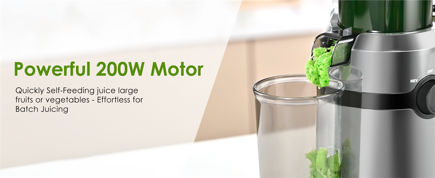 slow masticating cold press juicer