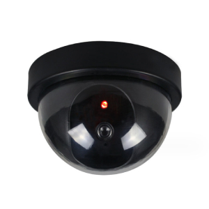 Simulated surveillance cameras