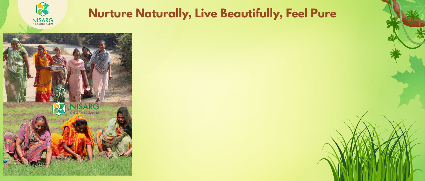 Buy Now Nisarg Organic Farm Stevia Leaf Powder Pure Stevia Leaves Po... 6 Natural Product