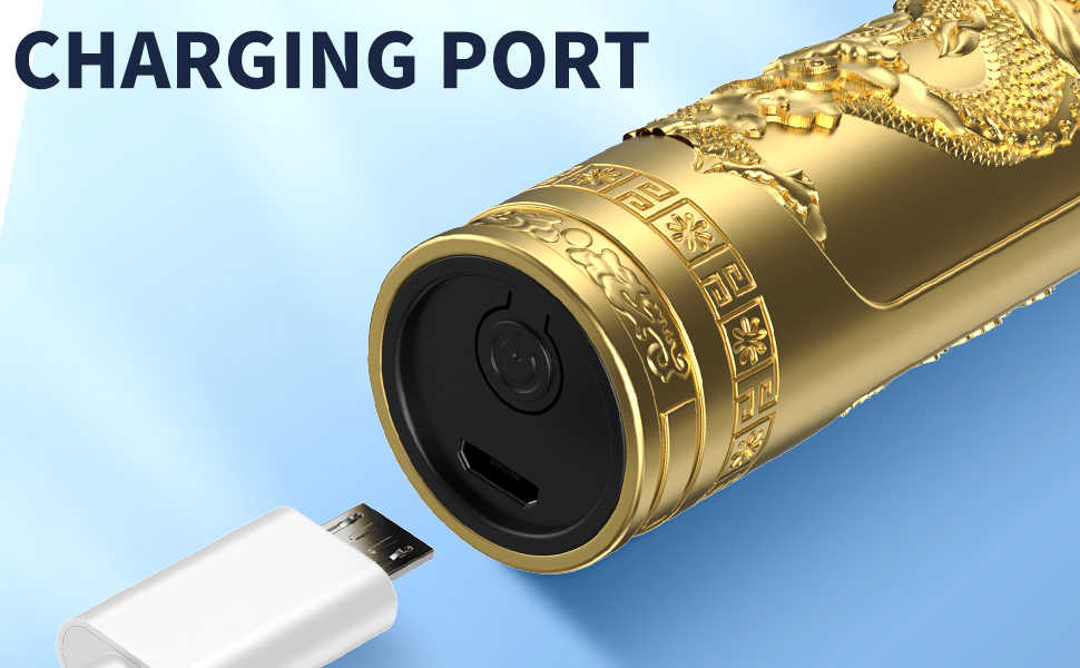 charging port