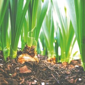 Small manufacture image 5