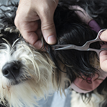 eyebrow cutter, scissors for nails tips acrylic, scissors pubic hair, tijeras de uñas