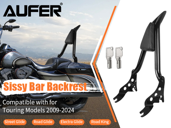 Amazon.com: AUFER Detachable Rear Passenger Backrest Sissy
