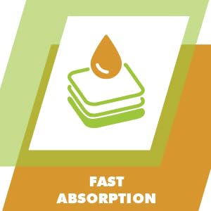 high absorption formula