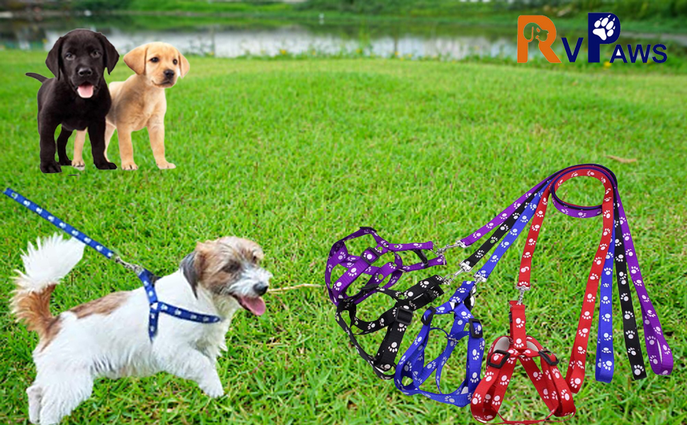 SPN-RECPP B0B147PMX5