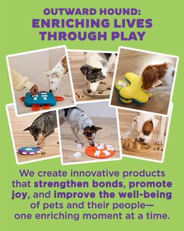 Outward Hound Nina Ottosson Puppy Lickin' Layers... 28 enrichming lives through play strengthn bond promote joy improve well-being