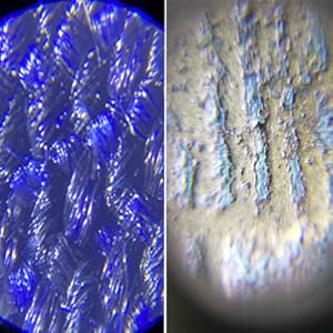 60X microscope